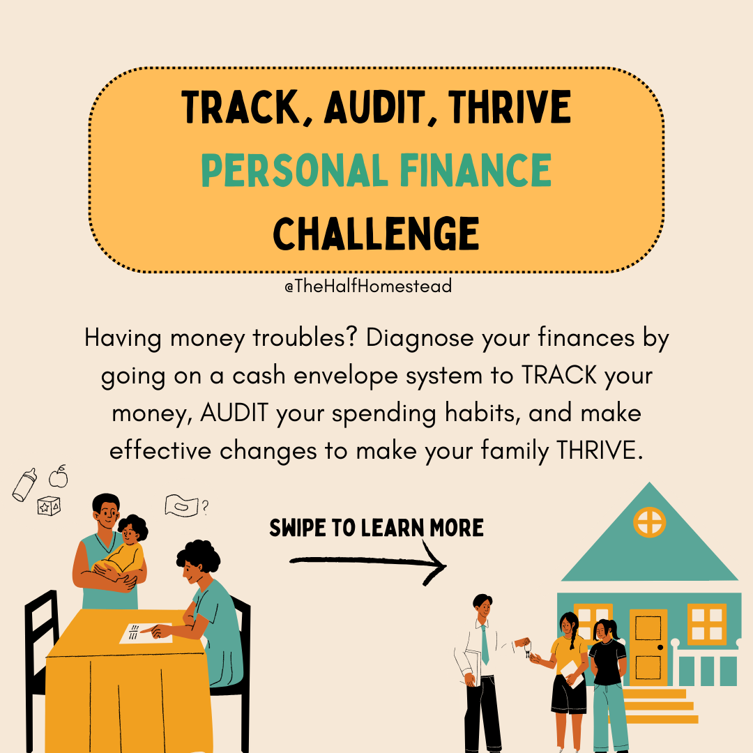 Track, Audit, Thrive: Personal Finance Challenge