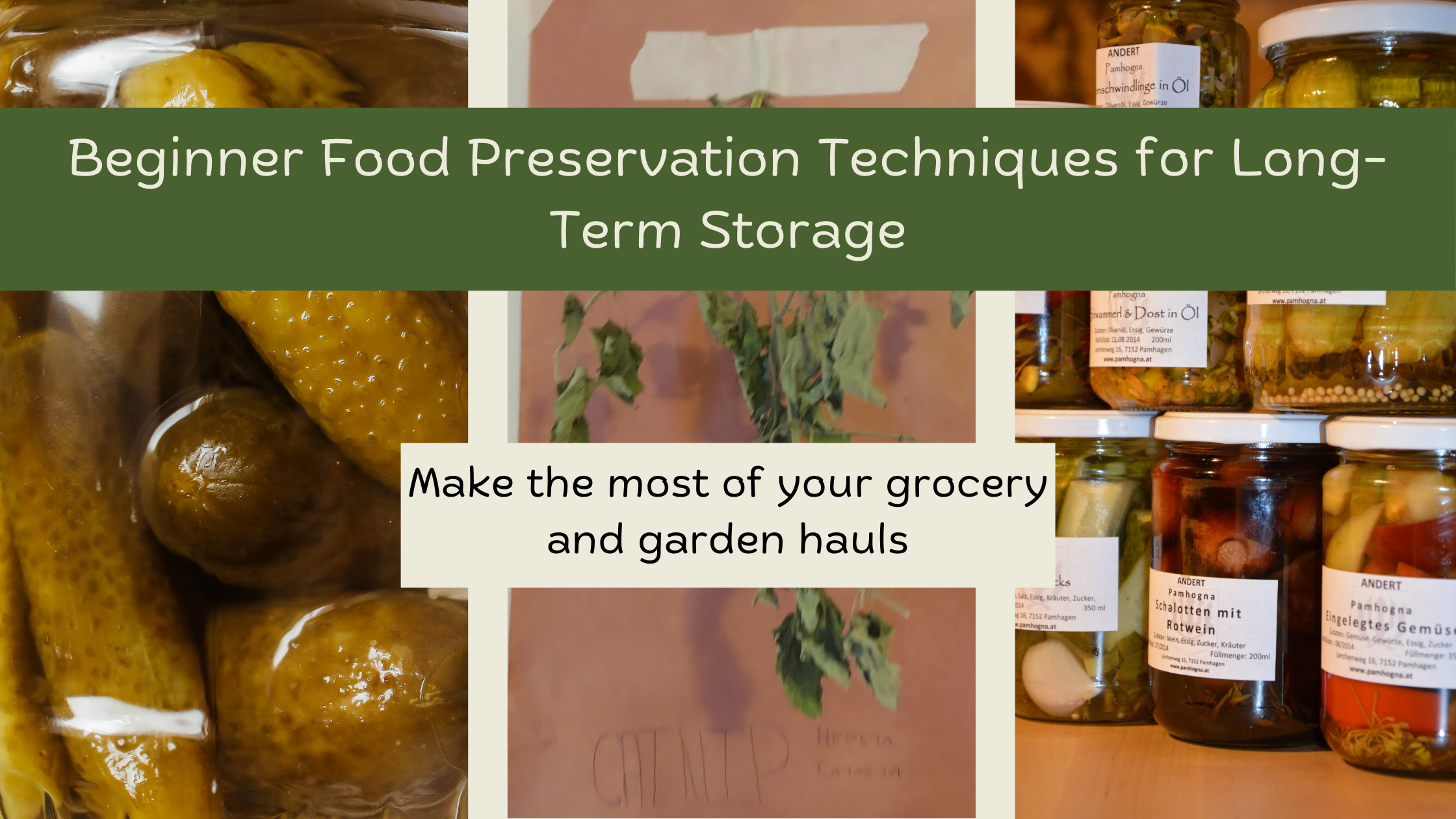 Beginner Food Preservation Techniques for Long-Term Storage